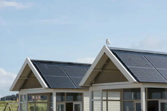 Green Energy for Your Home: The Benefits of Renewable Energy